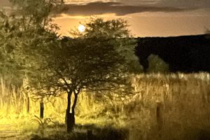 Children of God – Clothed in Christ