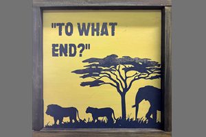 Wisdom, Waiting, and the Work of Advent