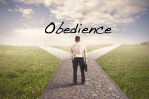 Obedience