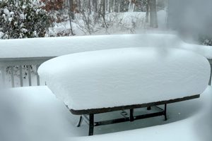 No one dared to ask him any question.